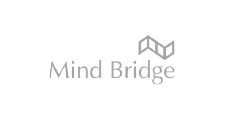 mindbridge